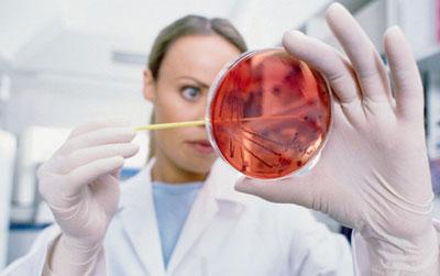 Анализ рпга