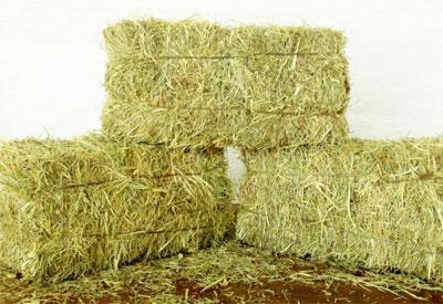 Сено для коров