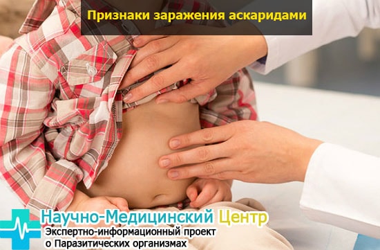 simptomu_askaridosa_gemoparazit_w213-min.jpg
