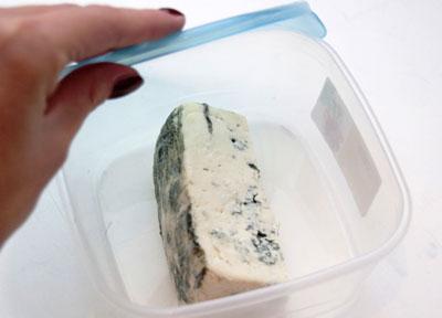 Покрытый плесенью сыр