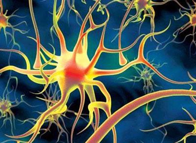 Распространение алкоголя по телу