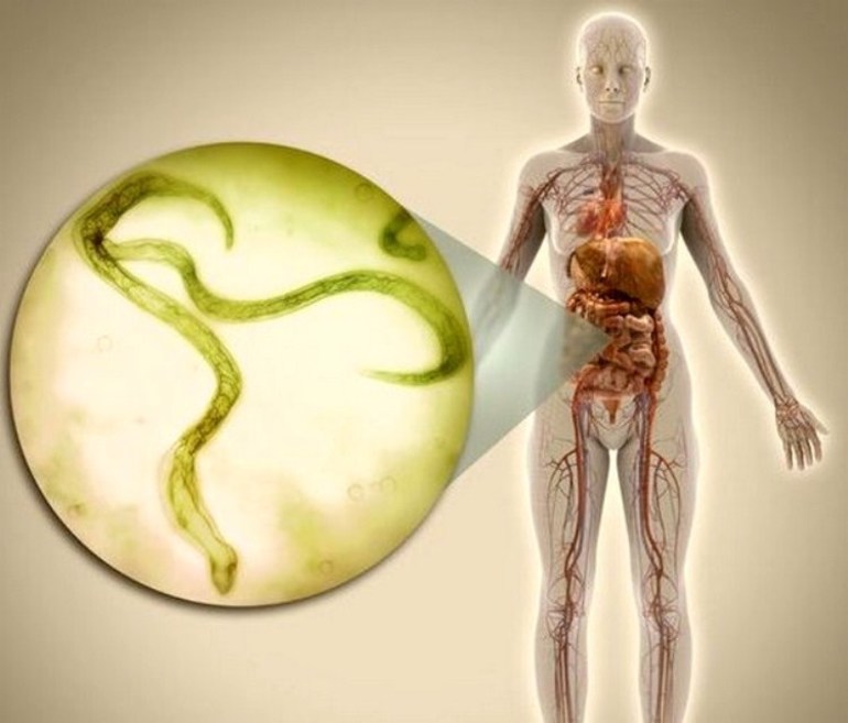 soliter_chelovecheskom_organizme.jpg