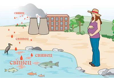 Свинец в окружающей среде