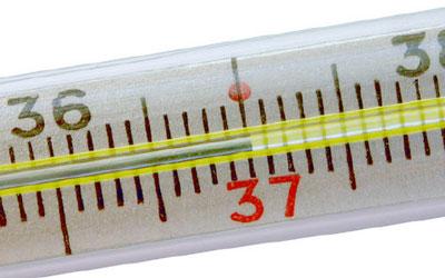 Температура 37 градусов