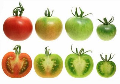 Неспелые томаты