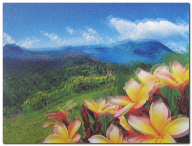 вид астигматизма