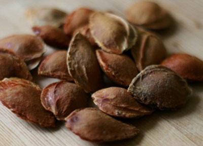 Косточки абрикоса